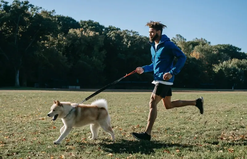 man hardloop met akita inu hond in die buitelug