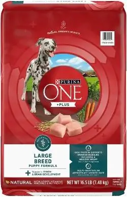 Purina ONE Natural High Protein+Plus suha hrana za mladiče velikih pasem