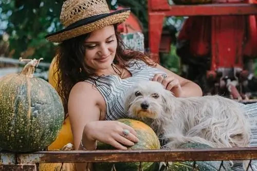 Nuori maaseutunainen halailemassa koiraansa makaamassa pumpkins_vuk saric_shutterstockin keskellä