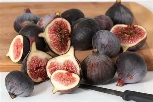 figues