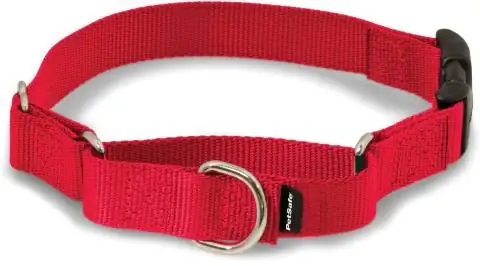 Collier de martingale en nylon à boucle rapide Petsafe