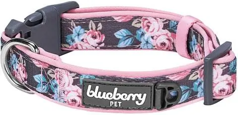 Collar floral per a mascotes de nabius