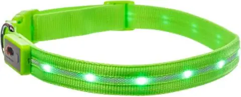 Nylonowa obroża dla psa Blazin' Safety LED USB z możliwością ładowania