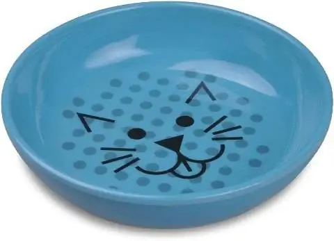 Van Ness Pets EcoWare Whisker-ընկերական Cat Bowl