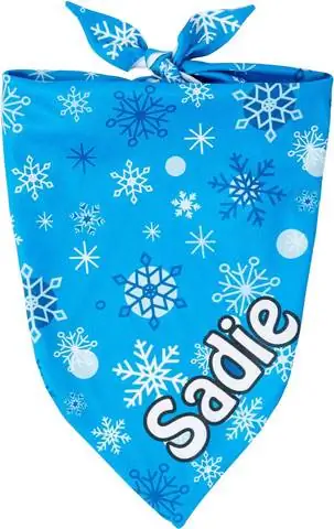 Frisco Blue Snowflakes Persoonlike Dog & Cat Bandana