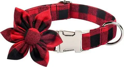 Collier pour chien en nylon Big Smile Paw, thème Noël: hiver