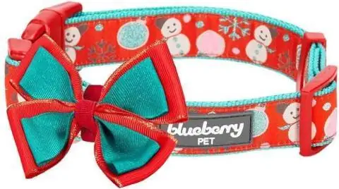 Collier de fête de Noël Blueberry Pet