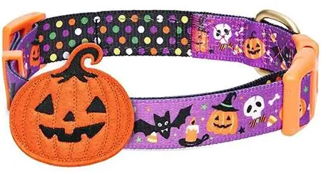 Obojok Blueberry Pet Halloween Pumpkin Dog