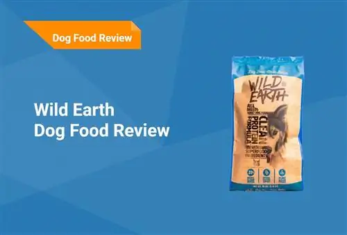 Đánh giá thức ăn cho chó Wild Earth 2023: Thu hồi, Ưu điểm & Nhược điểm