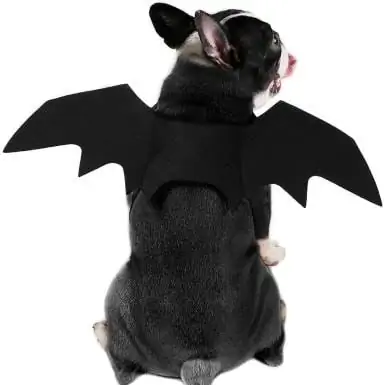 Déguisement de chauve-souris pour chien Rypet