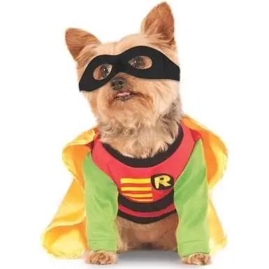 Kostum DC Comics Teen Titans Pet