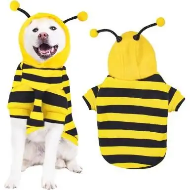 Disfraz de abeja para perro