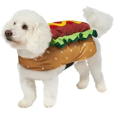 Costum Frisco Hotdog Dog & Cat