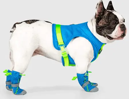 Canada Pooch Kub Pavement Dog Boots