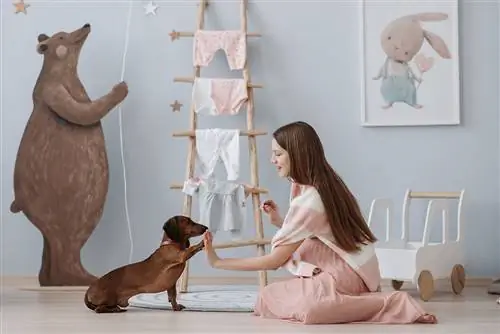 Una mujer embarazada entrenando a su perro