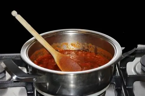 I gatti possono mangiare la salsa per la pasta (salsa per spaghetti)? Cosa hai bisogno di sapere