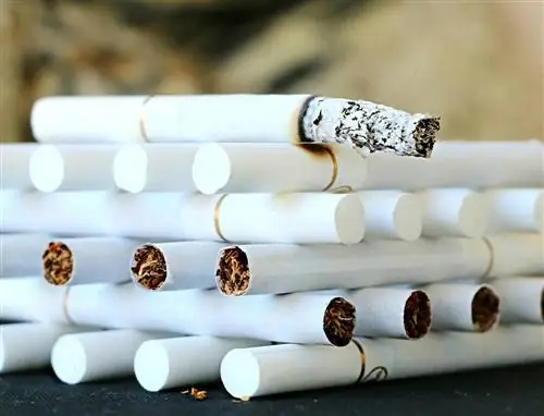 hrpa cigareta