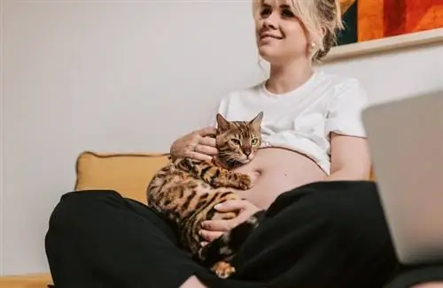 gravid kvinne på sofaen holder en katt