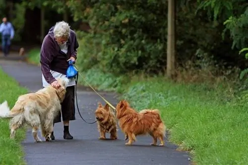 'n ou dame wat met haar honde stap