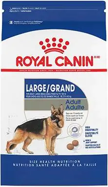 Royal Canin Méret Egészséges Nagy szárazeledel