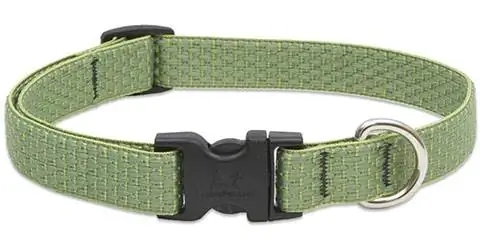 LupinePet Eco 3-4" Moss 13-22" verstellbares Halsband für mittelgroße und größere Hunde