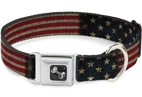 Buckle-Down Hundehalsband mit Sicherheitsgurtschnalle aus Polyester im Vintage-Stil mit US-Flagge