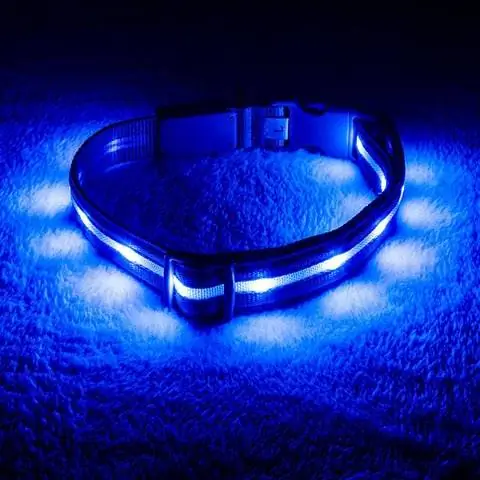 Blazin’ Safety LED-Hundehalsband aus Nylon, wiederaufladbar über USB