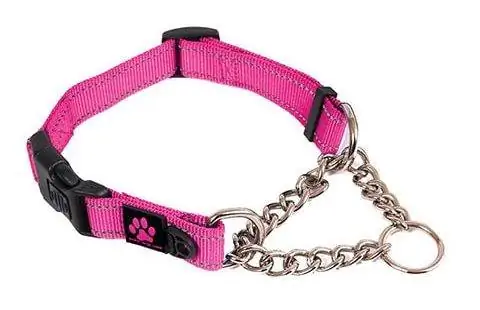 Max & Neo Dog Gear Nylon Reflective Martingale κολάρο σκύλου με αλυσίδα