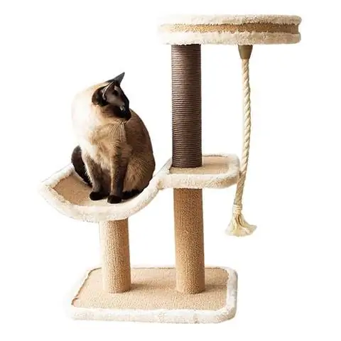 Catry Cat Tree