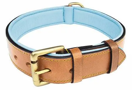 kola-laini-kugusa-tone-mbili-padded-dog-collar