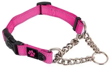 max-and-neo-dog-gear-martingale-dog-collar-with-chain