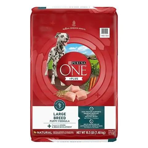 Purina ONE SmartBlend Hrană uscată pentru câini cu aromă de pui pentru cățeluși de rasă mare