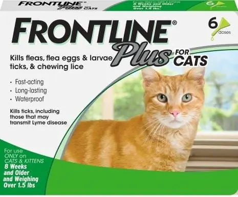 Tratamento para manchas de pulgas e carrapatos Frontline Plus para gatos