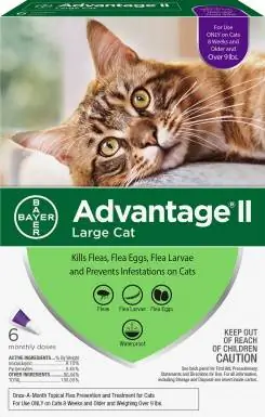 Tratamento para manchas de pulgas Advantage II para gatos