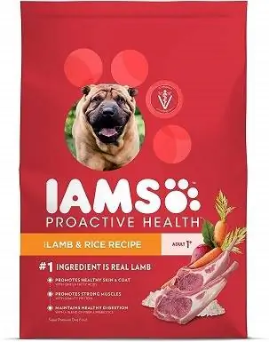 Iams 10171580