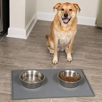 Isang dog bowl mat