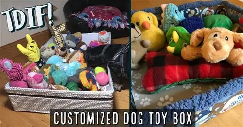 Hound Hugger DIY tarafından DIY Özelleştirilmiş Köpek Oyuncak Kutusu