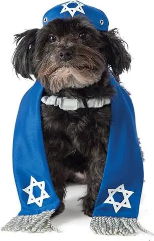 Rubie's Yarmulke և Tallis Dog զգեստները