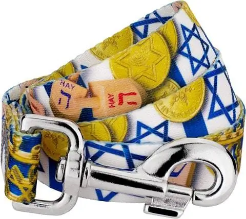 Country Brook Design - Xoşbəxt Hanukkah Dog Leash