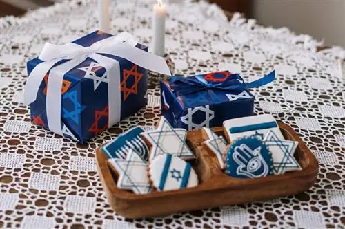 9 ของขวัญสุนัข Hanukkah ที่ดีที่สุดในปี 2023 – รีวิว & รายการยอดนิยม