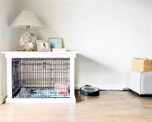 No-Paint Dog Crate éjjeliszekrény, a Popsugartól