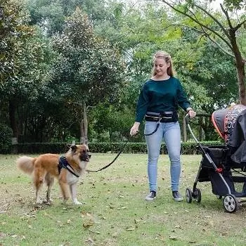 10 Tali Anjing Bebas Genggam Terbaik di tahun 2023 – Ulasan & Pilihan Teratas