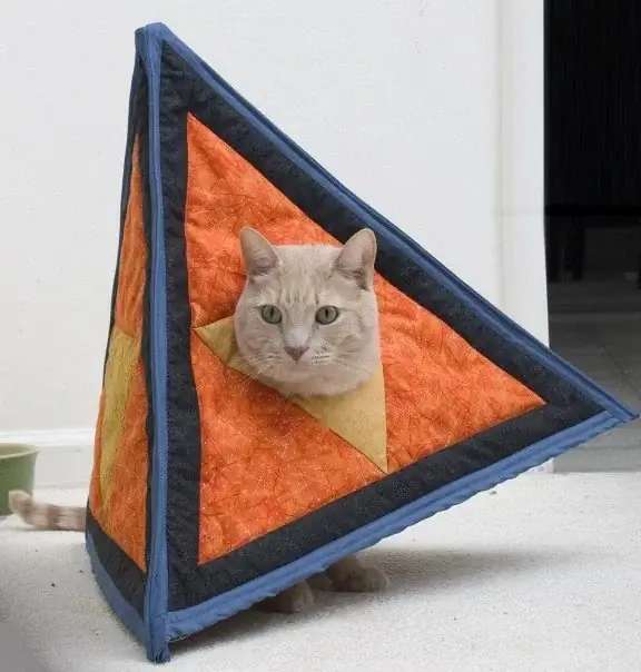 Catahedron Cat – Instructables