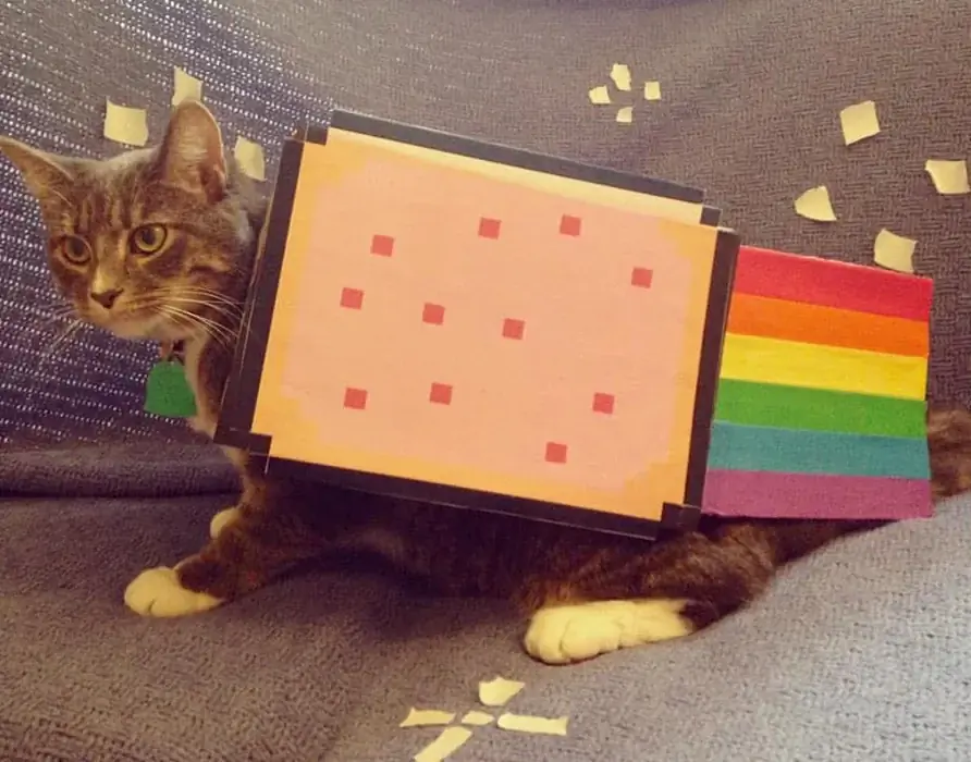 Nyan Cat - Нұсқаулар