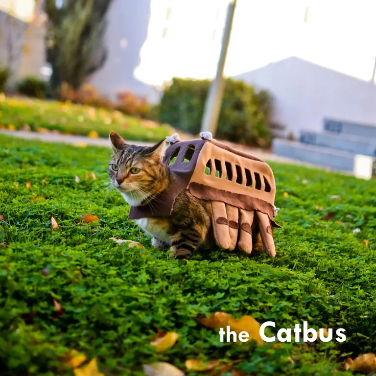 The Catbus – Sweet Ipomoea