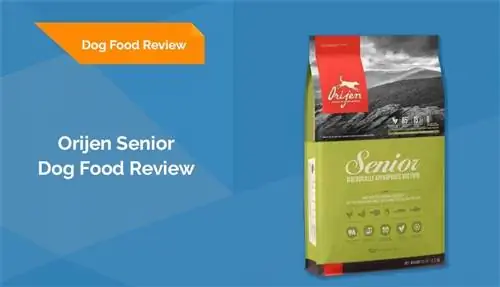 Orijen Senior Dog Food Review 2023: Xatırlayırlar, Müsbət cəhətlər & Eksiler