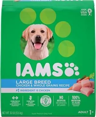 2Iams ProActive He alth Adult Large Breed -koiran kuivaruoka