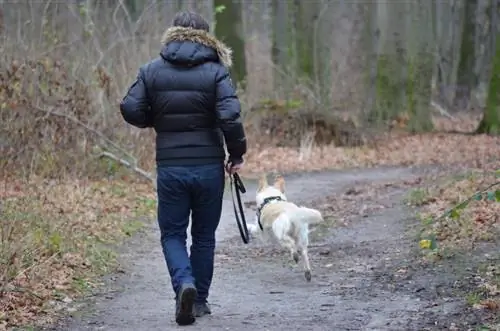 Mann rennt mit seinem Hund