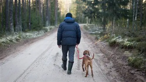 mies ja koira ulkoiluttamalla