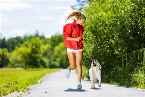 Hur man springer med din hund: 12 tips för den perfekta joggingpartnern